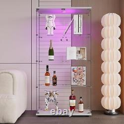 2 Doors LED Lights Glass Display Cabinet with4 Tier Shelve, Toy Collectibles Rack