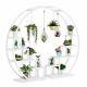 5tier Plant Stand Multi-purpose Curved Display Shelf Modern Plant Flower Storage