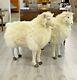 Rare Pair Of 100% Sheepskin Sheep Brooks Brothers Store Display Sheep 3 Htf