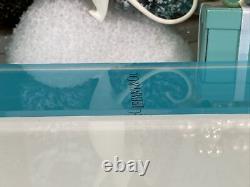 Tiffany&Co Store Display Fixture Prop Presentation Jewelry Luxottica 8x10.25