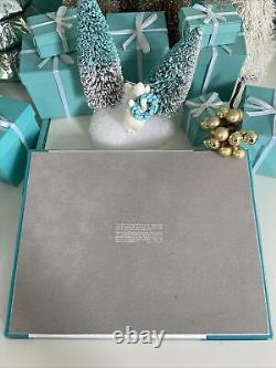 Tiffany&Co Store Display Fixture Prop Presentation Jewelry Luxottica 8x10.25